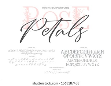 Hand drawn calligraphic vector duo font. Distress grunge texture. Modern script calligraphy type. ABC typography latin alphabet. Two fonts.