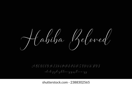 Fuente de monolina con vector caligráfico dibujado a mano. Letras de firma de angustia. Tipo de caligrafía de script moderno. Alfabeto de firma latina de tipografía ABC.