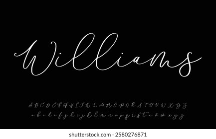 Hand drawn calligraphic vector monoline font. Distress signature letters. Modern script calligraphy type. ABC typography latin signature alphabet.