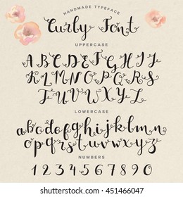 Hand Drawn Calligraphy Curly Font