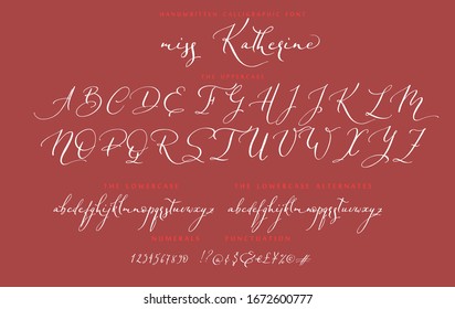 Conjunto de alfabeto vectorial de fuente de caligrafía dibujada a mano