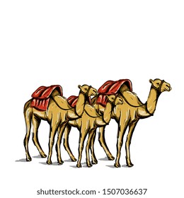 Hand drawn camel sketch drawing with watercolor hand drawn style vector illustration.