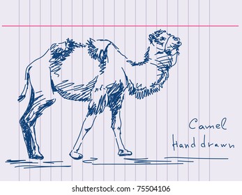 Hand drawn camel Vector. Visit my portfolio for big collection of doodles