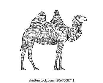 Hand drawn camel, zentangle ornament for adult anti stress Coloring book