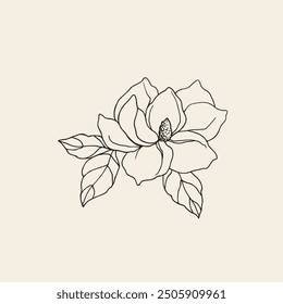 Hand drawn camellia flower illustration