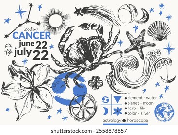 Hand drawn cancer zodiac sign illustration, horoscope background with astrology symbols and talismans.
Zodiac wheel, planets, sun, moon, star constellations.