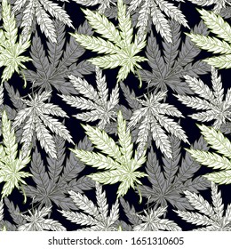 Hand drawn cannabis pattern on the dark background. Seamless pattern with marijuana leaf.Hemp plant, leaves, green branch of Cannabis sativa (Cannabis indica, Marijuana) medicinal plant