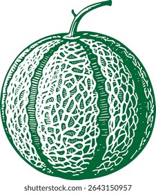 Desenhado à mão Cantaloupe Melon Illustration