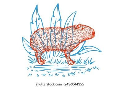 Hand drawn capybara in color sketch style. Animal south america isolated on white background. Vector vintage illustration.