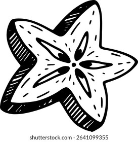 Hand drawn carambola fruit slice
