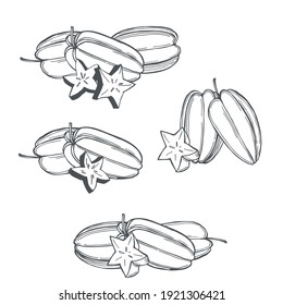 Hand drawn carambola or star apple fruit on white background.Vector sketch  illustration.