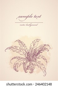 hand drawn card with asplenium