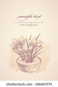 hand drawn card with crocus