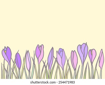Hand drawn card with crocus field made in vector. Delicate and romantic floral design elements. 