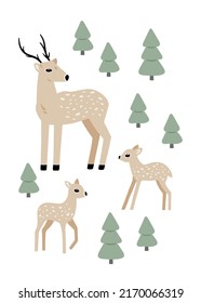 Hand drawn card with deer in the woods. Cute childish illustration with forest animals and pine trees. Charming poster for nursery design, prints and apparel. Scandinavian vector illustration