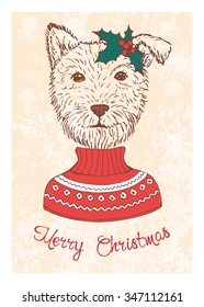 Hand drawn card with dog dressed up in sweater. Vector illustration for holiday design, greeting card, christmas poster, invitation