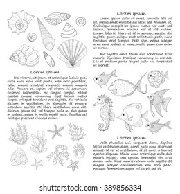 Hand drawn card template with fish, sea shells and algae. Vector