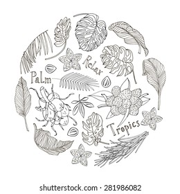 Hand drawn card template with tropical symbols - palm trees, leaves, flowers, nuts, fruit. With text "Palm, Relax, Tropics".