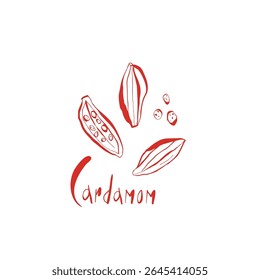 Ilustração desenhada à mão cardamomo conjunto com sementes de vagens inteiras e letras na cor vermelha para marca de especiarias e decoração de cozinha