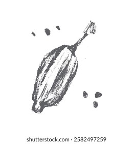 Hand drawn cardamom symbol, cardamon icon, cardamum sign. Bakery spice illustration. Cahrcoal sketch, natural flavoring doodle, organic flavouring drawing. Cardamom insignia for label, banner design