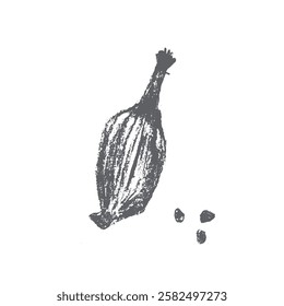 Símbolo de cardamomo desenhado à mão, ícone de cardamon, sinal de cardamum. Ilustração de especiarias de padaria. Esboço de carvão vegetal, doodle de aroma natural, desenho de aroma orgânico. Insígnia de cardamomo para rótulo, design de banner