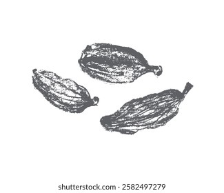 Símbolo de cardamomo desenhado à mão, ícone de cardamon, sinal de cardamum. Ilustração de especiarias de padaria. Esboço de carvão vegetal, doodle de aroma natural, desenho de aroma orgânico. Insígnia de cardamomo para rótulo, design de banner