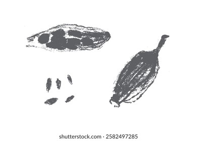 Símbolo de cardamomo desenhado à mão, ícone de cardamon, sinal de cardamum. Ilustração de especiarias de padaria. Esboço de carvão vegetal, doodle de aroma natural, desenho de aroma orgânico. Insígnia de cardamomo para rótulo, design de banner