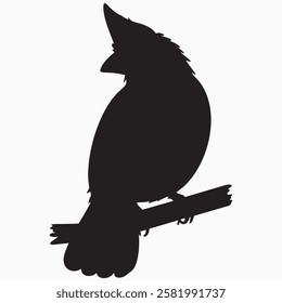 Hand drawn cardinal bird silhouette