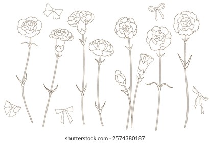 Hand Drawn Carnation Line Art Illustration Set
