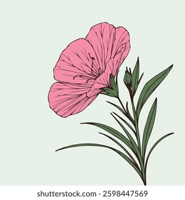 Hand drawn carnation sketch, marigolds buds flower, leaf, set of marigold flowers vector, illustration outline drawing, botanical black and white line art, lineart leaves and stems in engraving style