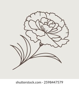 Hand drawn carnation sketch, marigolds buds flower, leaf, set of marigold flowers vector, illustration outline drawing, botanical black and white line art, lineart leaves and stems in engraving style
