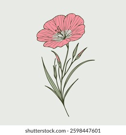 Hand drawn carnation sketch, marigolds buds flower, leaf, set of marigold flowers vector, illustration outline drawing, botanical black and white line art, lineart leaves and stems in engraving style
