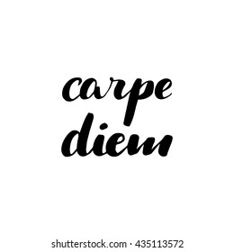 Hand drawn Carpe Diem sign. Seize the day in English. 