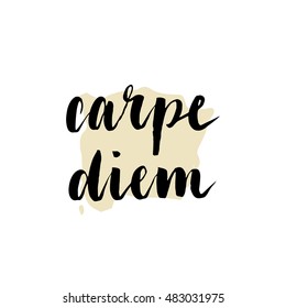Hand drawn Carpe Diem sign. Modern brush calligraphy. Isolated on white background. Hand drawn lettering element for your design.
