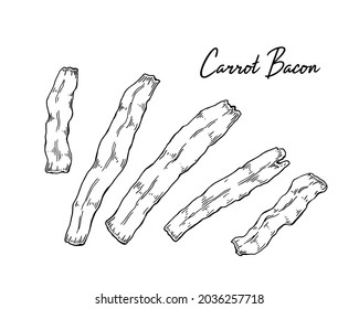 Hand drawn carrot bacon. Vector illustration in sketch style
