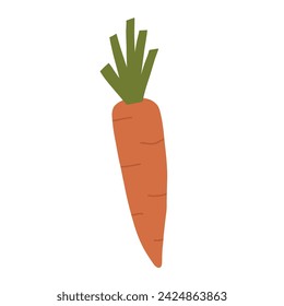 Hand drawn carrot, cartoon flat vector illustration isolated on white background. Cute drawing of root vegetable. Concepts of healthy diet and harvesting.