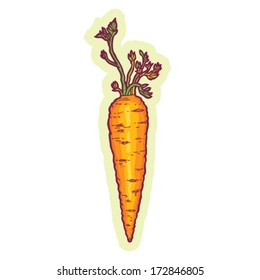 Hand drawn carrot cartoon vector.