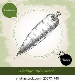 Hand drawn carrot. Organic eco vegetable food background.Vector sketch style illustration