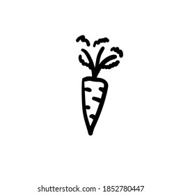 La mano dibujó zanahoria. Icono de vector simple