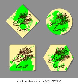 Hand drawn carrot. Sketch vintage vector illustration. Farm fresh vegetables label.