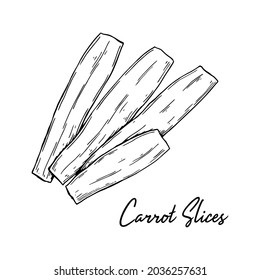 Hand drawn carrot slices. Vector illustration in sketch style
