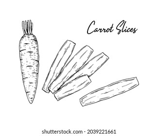 Hand drawn carrot slices. Vector illustration in sketch style