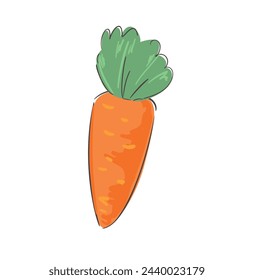 Hand drawn carrot vector illustration graphic 