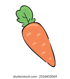 Hand drawn carrot vector illustration graphic 