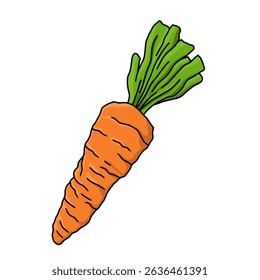 Ilustração do vetor da cenoura desenhada à mão isolada no fundo branco. Arte saudável de rabiscar vegetal