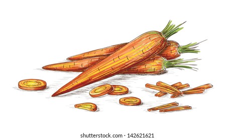 Hand drawn carrots