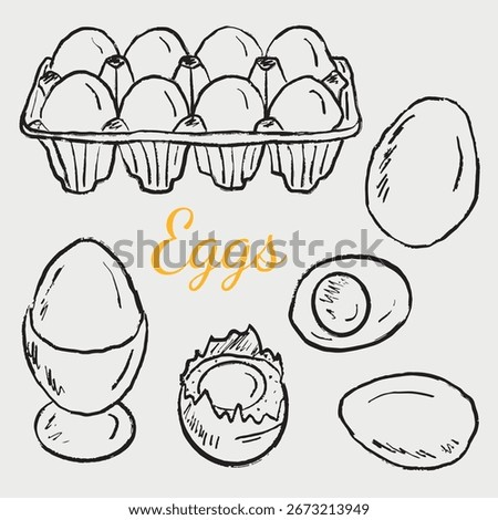 Hand drawn carton eggs box illustrations. Vector sketch vintage style drawing. Menu design, lunch, breakfast. Boiled egg in server