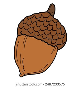 Hand drawn cartoon acorn isolated on white background. Vector illustration.