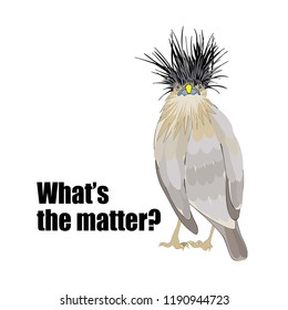 Hand drawn cartoon bird, text What's the matter, for comics card, decorate wall, kids rooms, book, school notebook, apparel, t-shirt print. Isolated on the white background. eps 10.