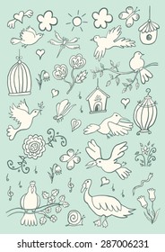 Hand Drawn Cartoon Birds Set